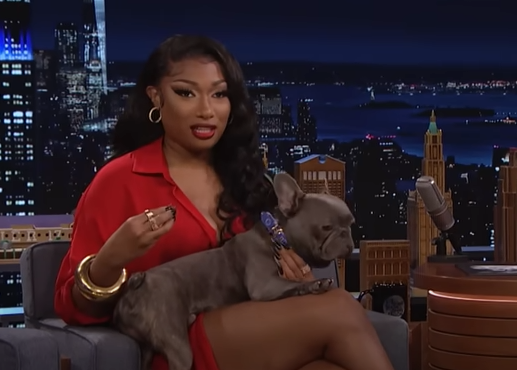 Megan Thee Stallion Boyfriend, Age, Net Worth